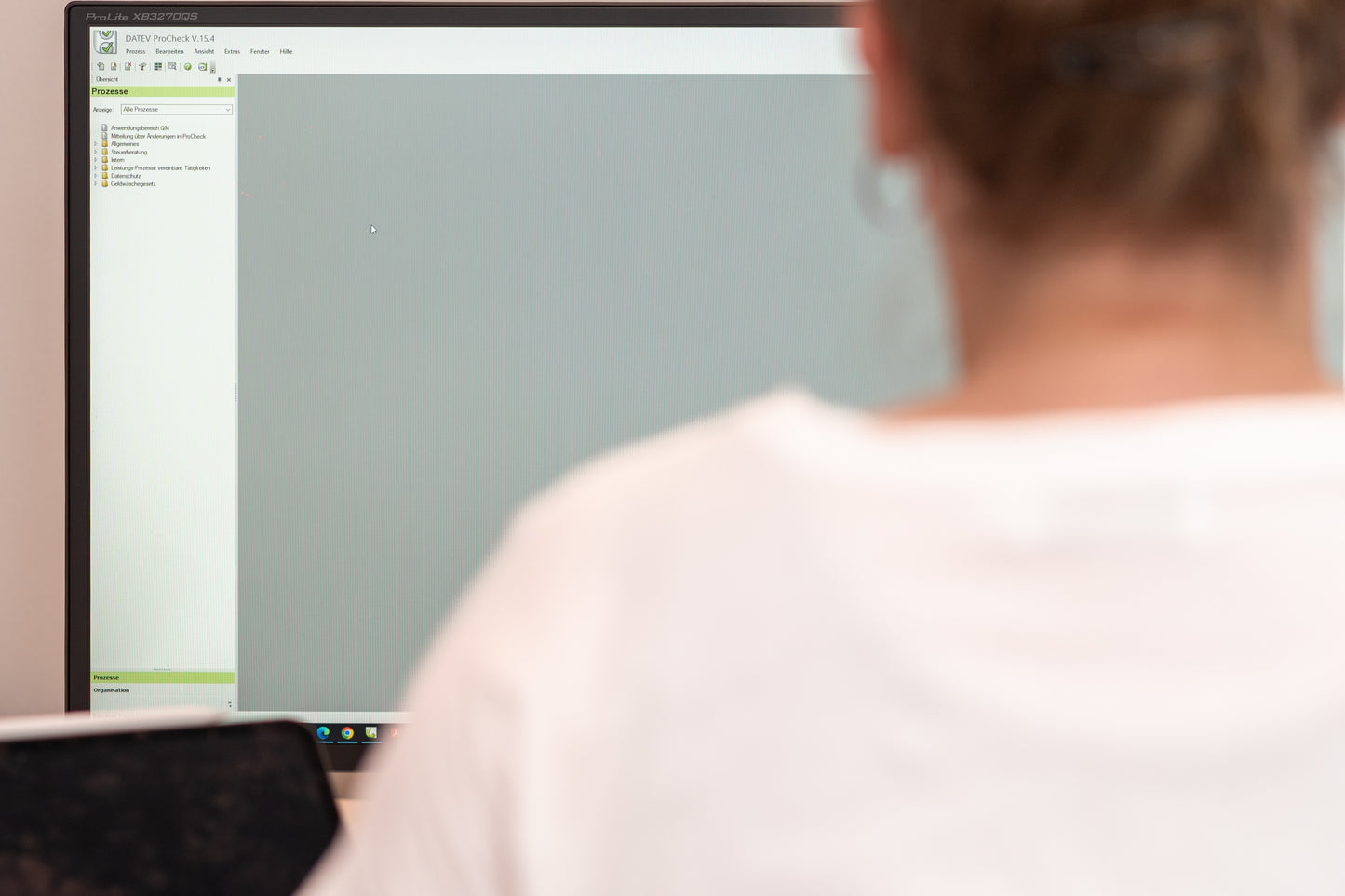 Prozesslandschaft DATEV ProCheck