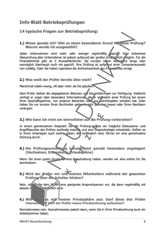 Infoblatt Betriebsprüfungen Infoblatt Betriebsprüfung